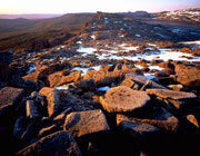 TM3 :: Ben Lomond National Park