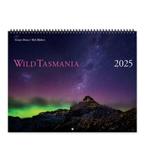 2025 Large Calendar