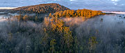 Takayna old forest