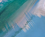 Pilitika - Robbins Island 3