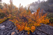 Autumn, Walls of Jerusalem NP 3