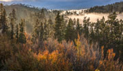 Autumn, Walls of Jerusalem NP 4