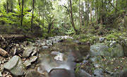 Bumbo Ck, SE NSW 2