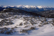 The Main Range, Kosciuszko NP