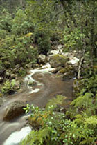 SE NSW