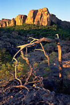 Kakadu NP, NT