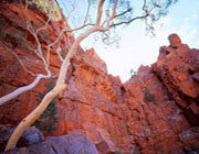 Ormiston Gorge
