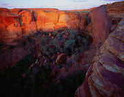Watarrka NP, NT