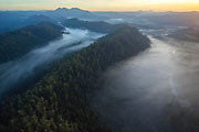 Tarkine aerial 1