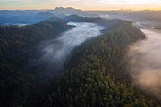 Tarkine aerial 2