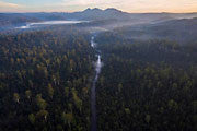 Tarkine aerial 3