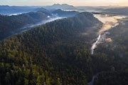 Tarkine aerial 4