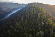 Tarkine aerial 5
