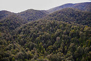 Mt Lindsay mine site