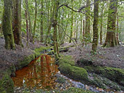 South Esk headwaters