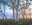 TF23 :: Navarre Plains, near Lake St Clair