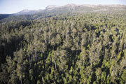 The Lower Weld Valley, zoned for logging