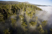 Weld Valley, zoned for logging