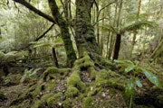 Weld Valley, zoned for logging 5