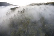 Weld Valley, zoned for logging 4