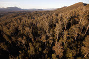 Aerial view, Upper Florentine Valley