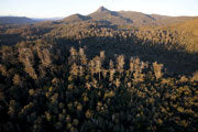 Florentine Valley