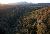 View to the Thumbs, Florentine Valley