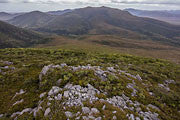 Tarkine, Norfolk Range