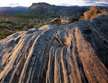 Evening, Cradle Mountain-Lake St Clair National Park