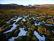 Cradle Mountain