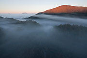 Mt Lindsay, Tarkine
