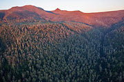 Peak Rivulet