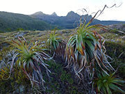 Anne Range, Southwest National Park 2