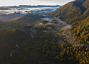 Harman River and Parsons Hood, Tarkine