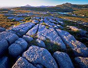 West Coast Range
