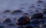 Maria Island shoreline