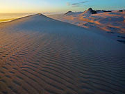 Dunefield, Tarkine
