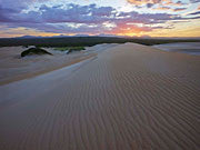 Sunrise, Tarkine
