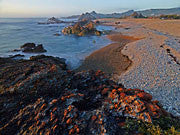 Tarkine coast