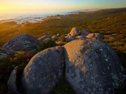 Tarkine evening