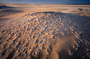 Midden, Tarkine