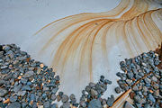 Maria Island detail 2