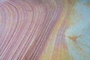 Maria Island detail 3