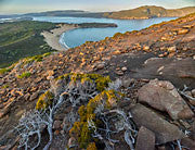 Tasman NP