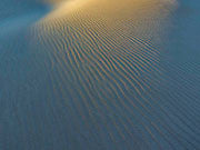 Tarkine dunefield