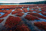 Moulting Lagoon