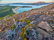 Tasman National Park