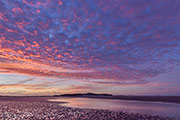 Robbins Island 1