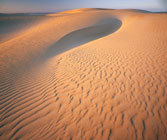 Tarkine dunes