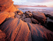 Sandstone, South Cape Bay